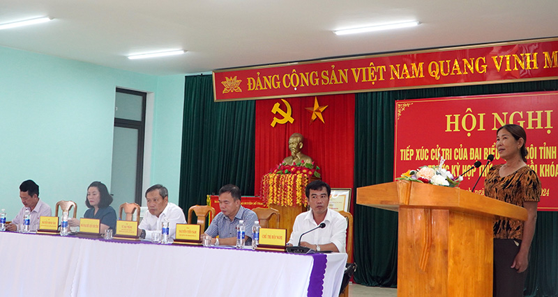 Cử tri đề xuất, kiến nghị tại hội nghị