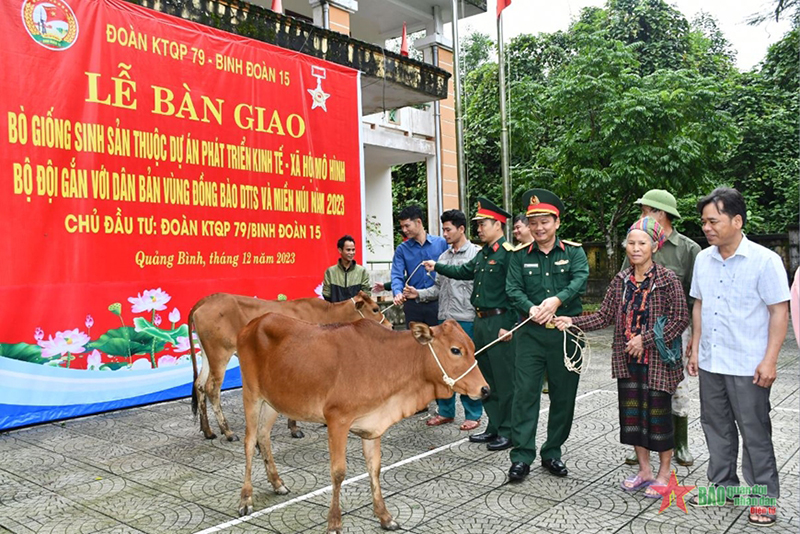 Đoàn KT-QP 79 bàn giao bò giống sinh sản cho hộ nghèo ở xã Lâm Thủy, huyện Lệ Thủy. 
