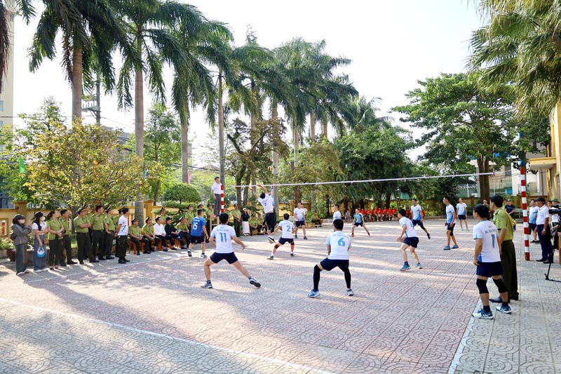 Các đội thi đấu bộ môn bóng chuyền