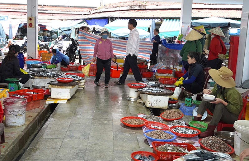 Sản lượng đánh bắt thủy sản của ngư dân TP. Đồng Hới tăng so cùng kỳ.