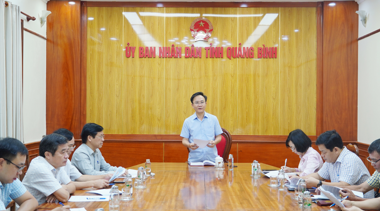 Đồng chí Phó Chủ tịch UBND tỉnh Hoàng Xuân Tân chủ trì buổi làm việc.