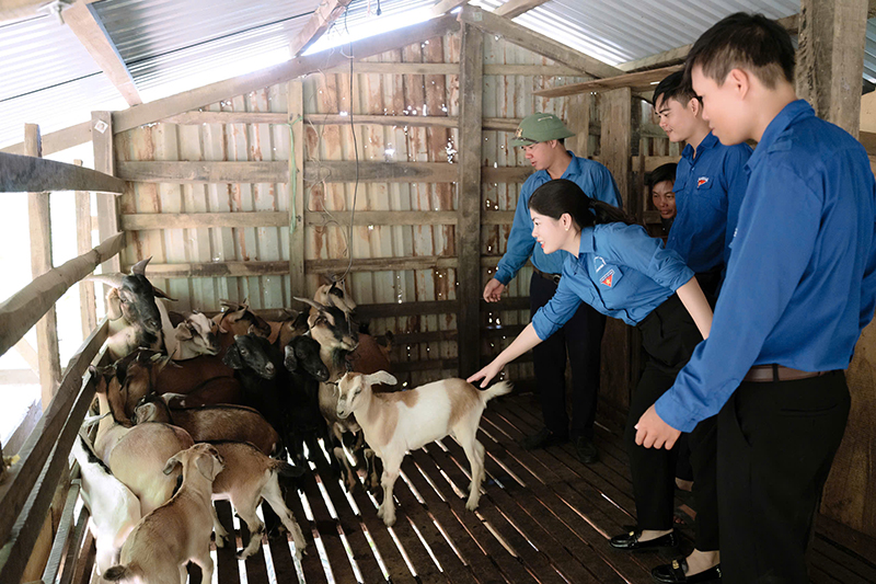 Các mô hình thanh niên khởi nghiệp được Bí thư Đoàn xã Hưng Trạch Nguyễn Thị Lệ Hương và các đoàn viên thanh niên quan tâm phát triển.