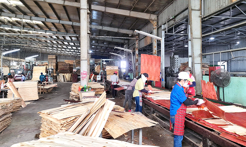 Khoản thu từ hoạt động sản xuất, kinh doanh của doanh nghiệp chiếm tỷ trọng lớn trong tổng thu ngân sách nhà nước.
