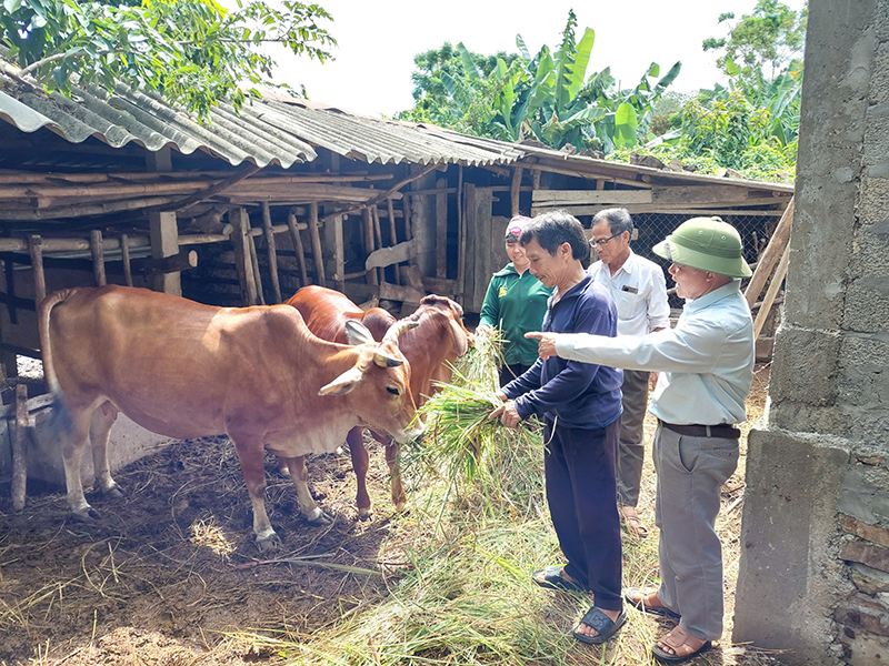 Vốn tín dụng chính sách giúp người dân có cơ hội phát triển kinh tế.