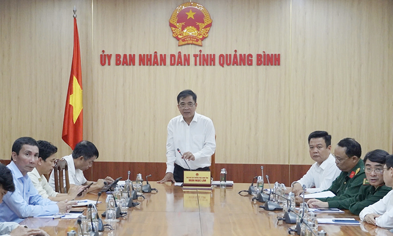 - Đồng chí Phó Chủ tịch Thường trực UBND tỉnh Đoàn Ngọc Lâm phát biểu tại cuộc họp.