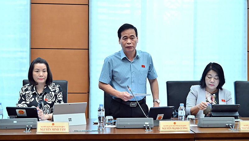 Đại biểu Nguyễn Mạnh Cường thảo luận về Dự án Thuế thu nhập đặc biệt (sửa đổi)