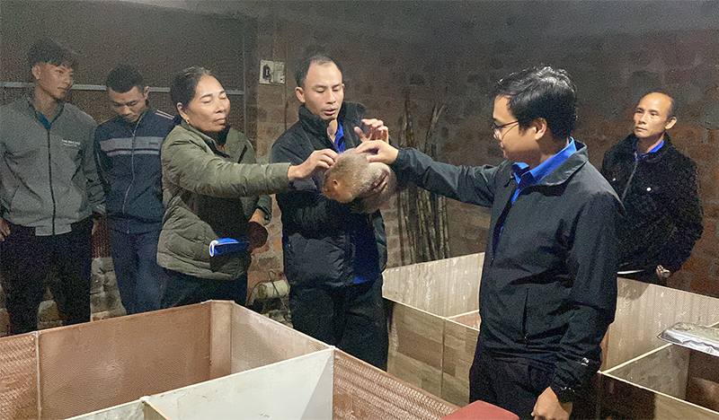 Tập huấn, tư vấn chuyển giao khoa học kỹ thuật về mô hình nuôi dúi cho đoàn viên, thanh niên và người dân xã Lê Hóa (Tuyên Hóa).