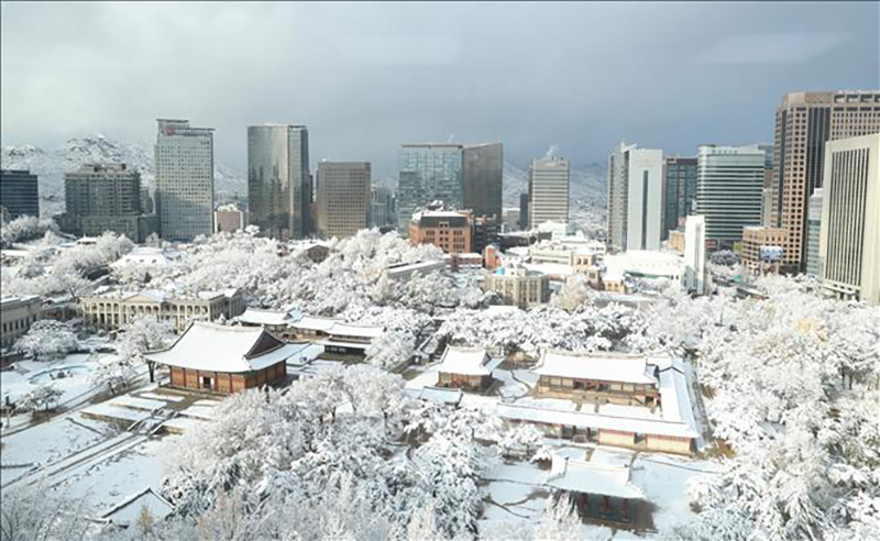 Tuyết phủ trắng xóa tại Seoul, Hàn Quốc, ngày 27/11/2024. Ảnh: Yonhap/TTXVN