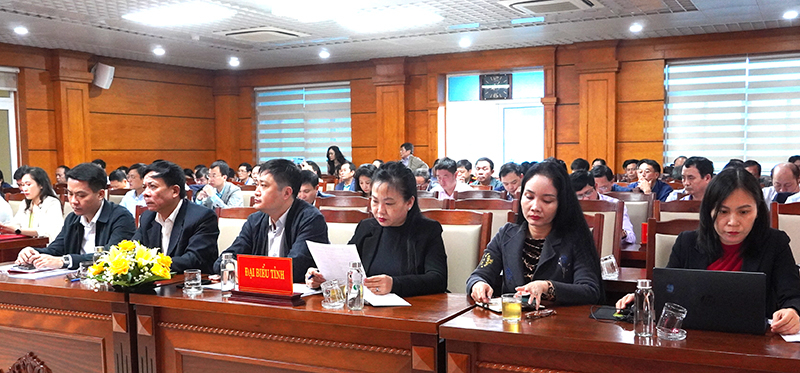 Đại biểu tham dự hội nghị.