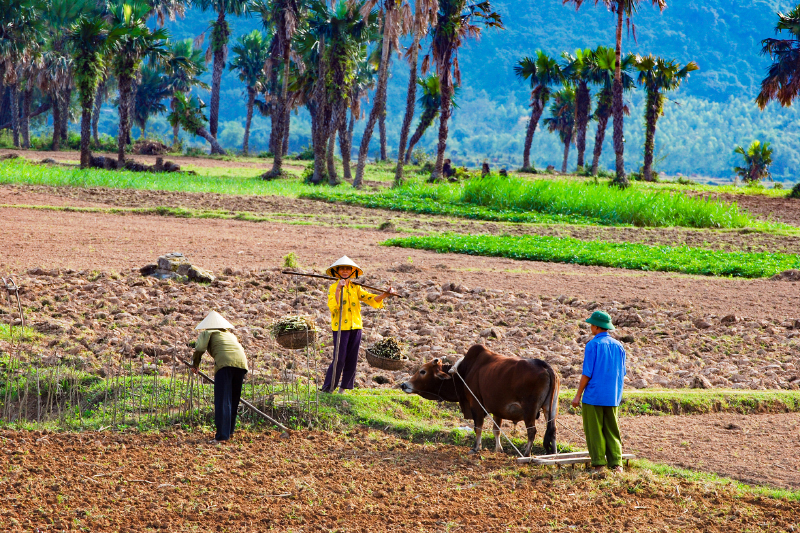 Câu chuyện thường ngày.