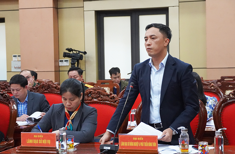 Đại biểu thảo luận, góp ý vào dự thảo luật.