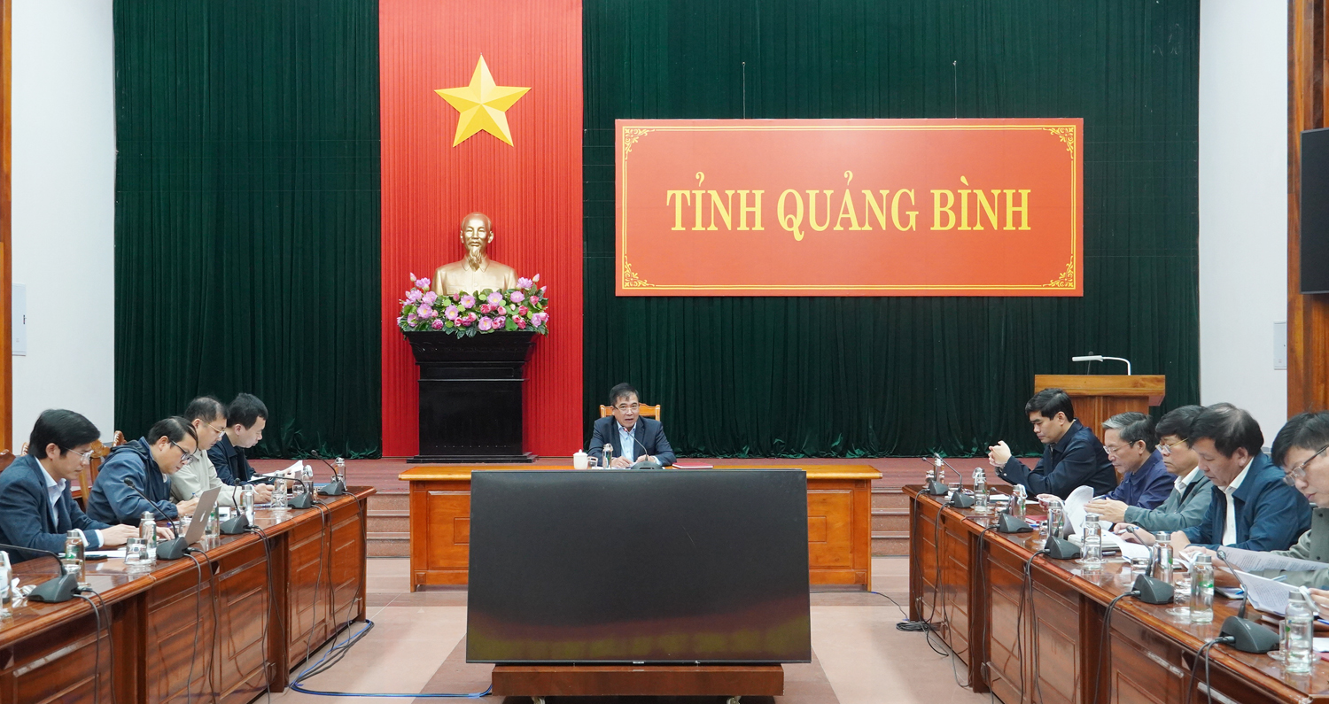 Đồng chí Phó Chủ tịch Thường trực UBND tỉnh Đoàn Ngọc Lâm chủ trì buổi làm việc.