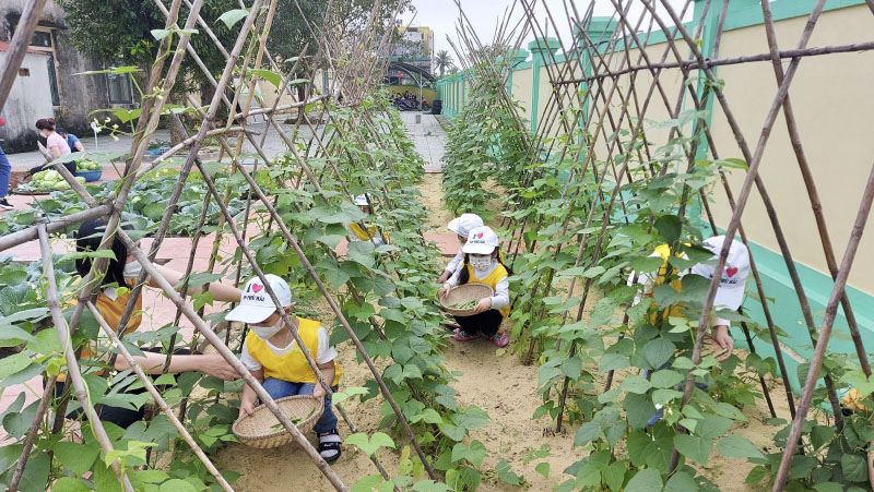 Những bài học ngoài trang sách mang lại cho học sinh nhiều kiến thức bổ ích.