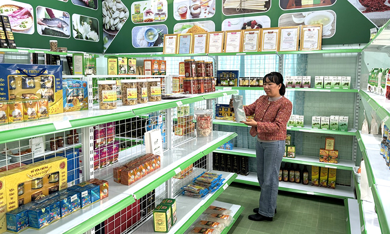 Các sản phẩm, mặt hàng nông sản đặc trưng, truyền thống đạt tiêu chuẩn OCOP tại huyện Lệ Thủy được quảng bá để phát triển du lịch.