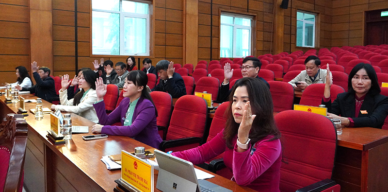 Các đại biểu biểu quyết thông qua các dự thảo nghị quyết.