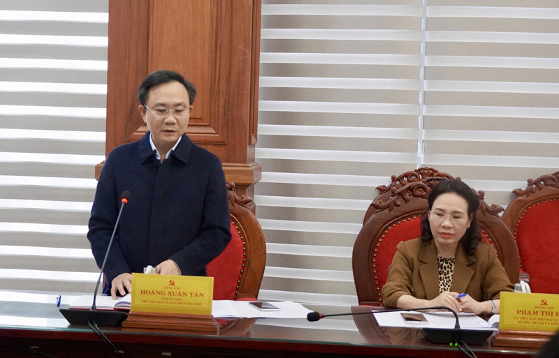 Đồng chí Phó Chủ tịch UBND tỉnh Hoàng Xuân Tân phát biểu tại phiên họp.