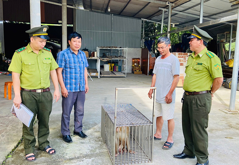 Cá thể khỉ đuôi lợn vừa được Hạt Kiểm lâm Tuyên Hóa và người dân bàn giao cho Trung tâm Cứu hộ, bảo tồn và Phát triển sinh vật.