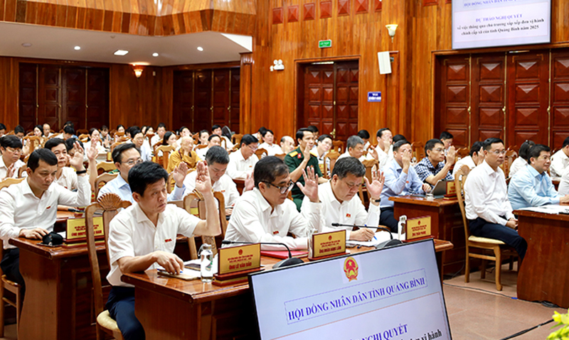 Đại biểu biểu quyết thông qua nghị quyết.