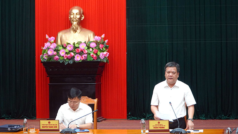 Đồng chí Trần Phong, Phó Bí thư Tỉnh ủy, Chủ tịch UBND tỉnh, Trưởng Ban Chỉ đạo 956 tỉnh phát biểu chỉ đạo hội nghị