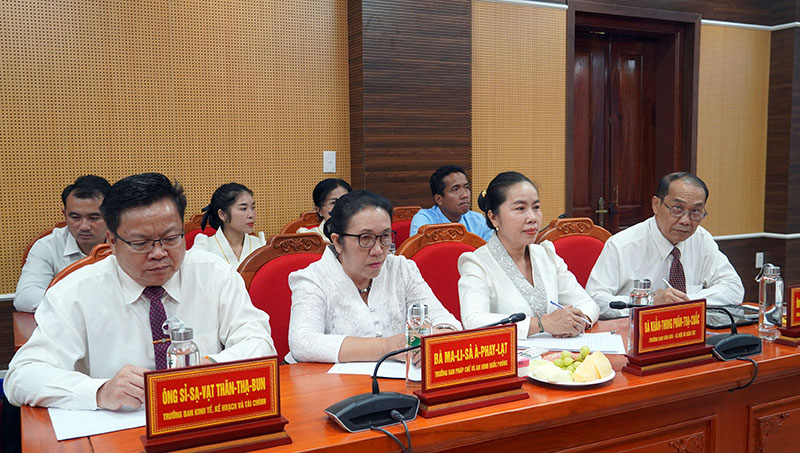 Các đại biểu tham dự hội đàm.