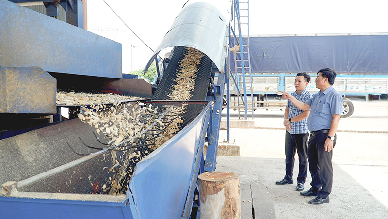 Công ty CP Việt Trung Quảng Bình đầu tư mở rộng sản xuất dây chuyền xay dăm và viên nén.