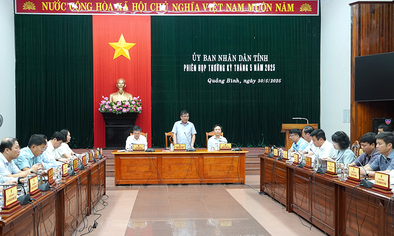Đồng chí Phó Chủ tịch Thường trực UBND tỉnh Đoàn Ngọc Lâm phát biểu kết luận tại phiên họp.