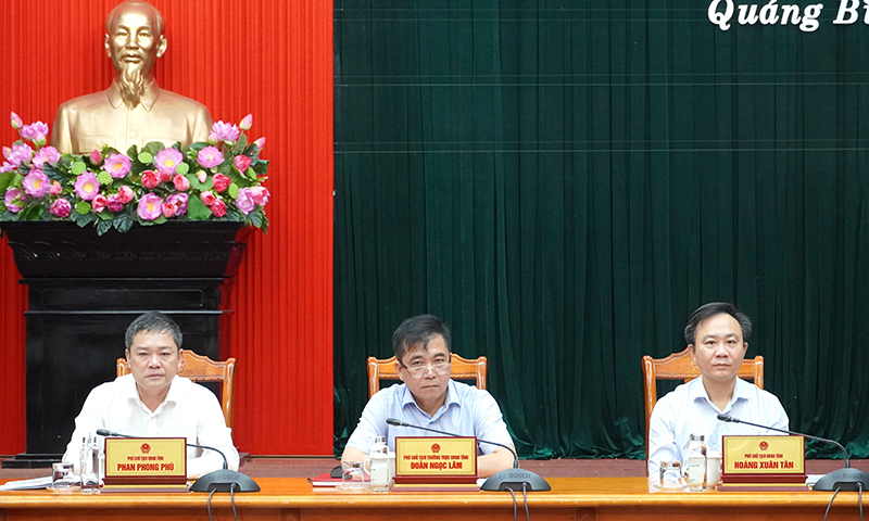 Các đồng chí Phó Chủ tịch UBND tỉnh chủ trì phiên họp.