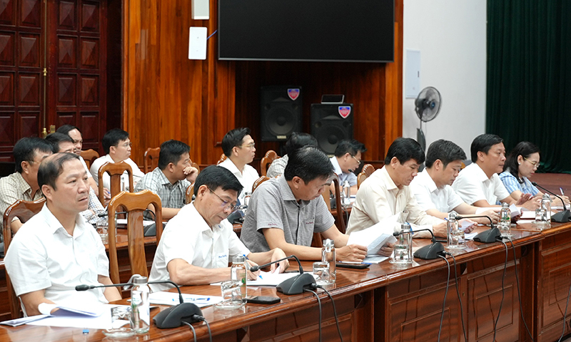 Các đại biểu tham dự buổi làm việc.