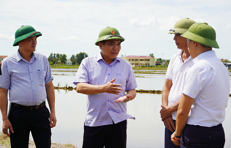 Phó Chủ tịch Thường trực UBND tỉnh Đoàn Ngọc Lâm kiểm tra công tác khôi phục sản xuất sau mưa lũ ở huyện Lệ Thủy.