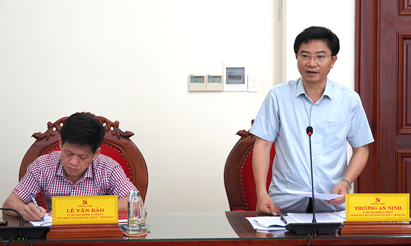 Đồng chí Trương An Ninh, Ủy viên Ban Thường vụ, Trưởng ban Tuyên giáo và Dân vận Tỉnh ủy phát biểu tại phiên họp.
