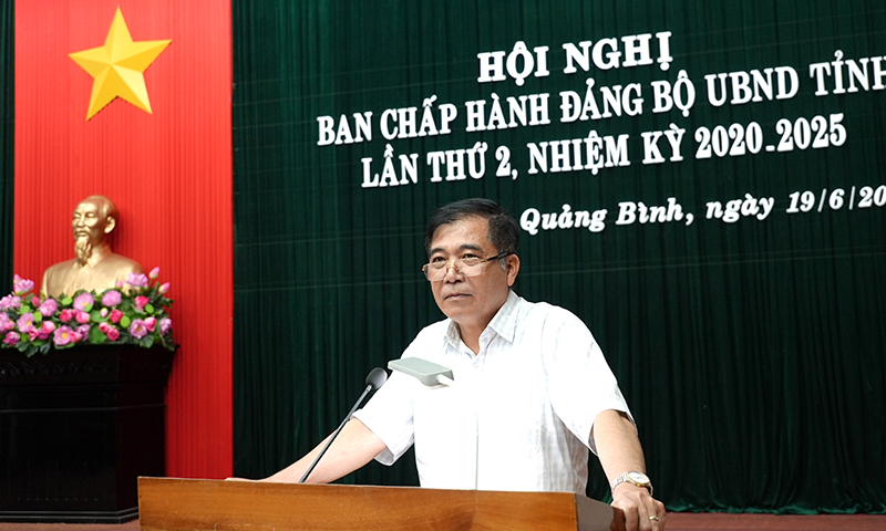 Đồng chí Phó Chủ tịch Thường trực UBND tỉnh Đoàn Ngọc Lâm phát biểu kết luận tại hội nghị.