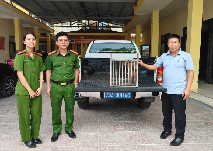 Tỉ lệ cứu hộ động vật hoang dã thành công đạt 93%