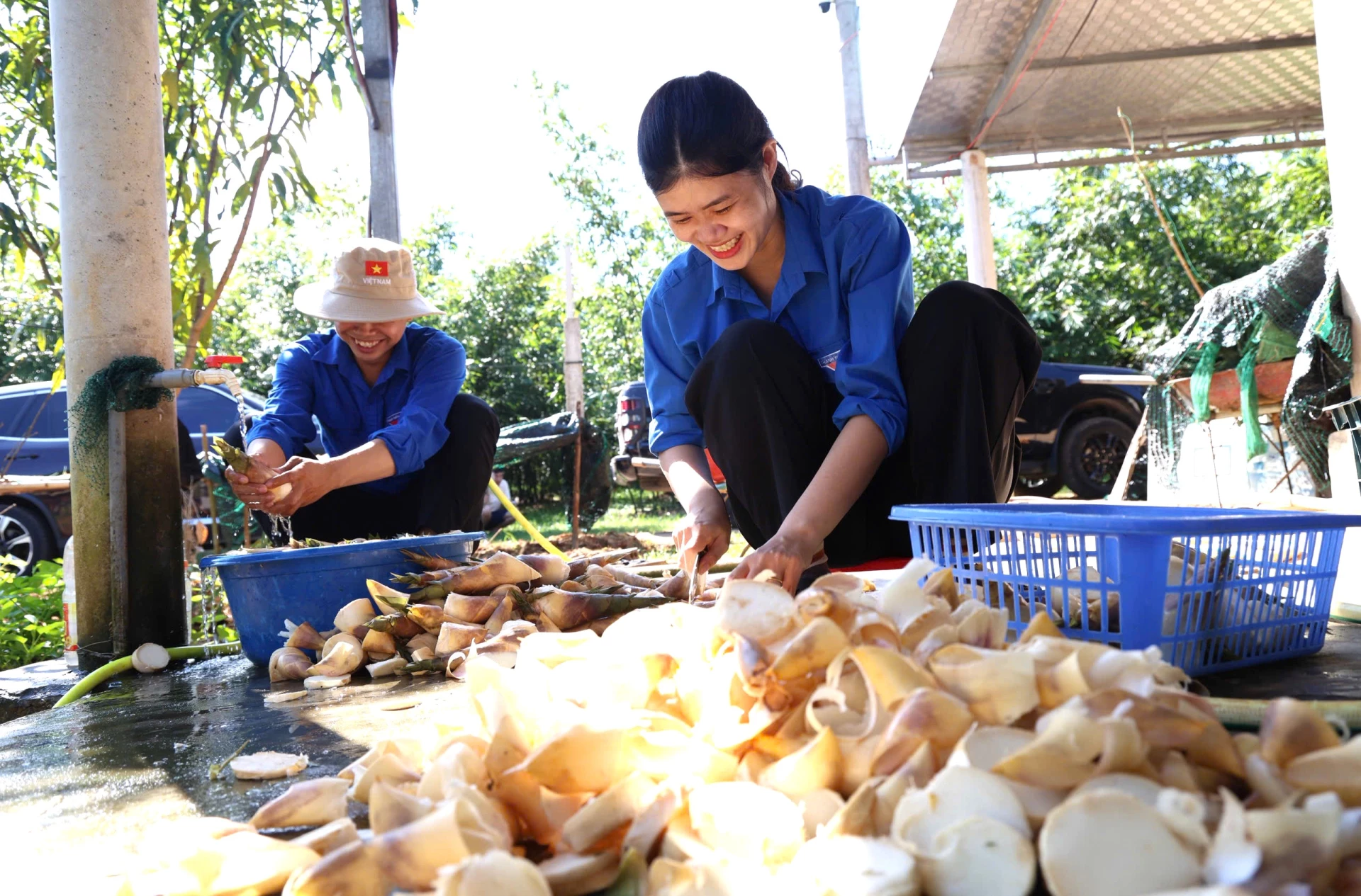 Người dân đang sơ chế măng từ Tre lục trúc - Ảnh: Trung Đức