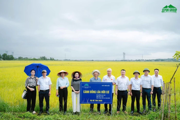 Đẩy mạnh liên kết chuỗi giá trị trong phát triển nông nghiệp xanh.