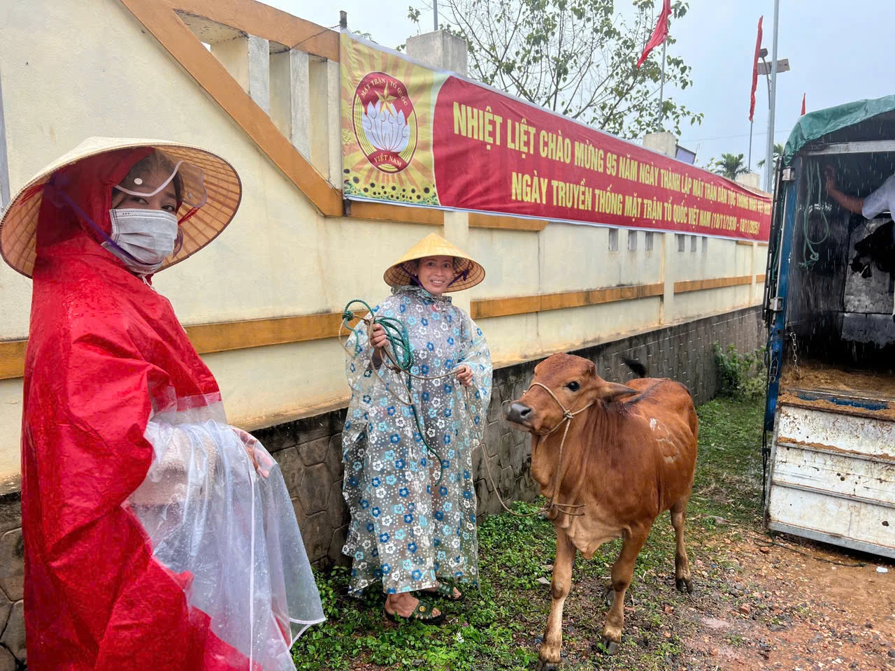 Bò giống được trao trực tiếp cho các hộ dân-Ảnh: V.P