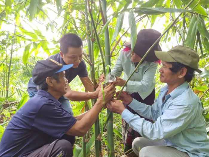 Hồi sinh vùng đất khó