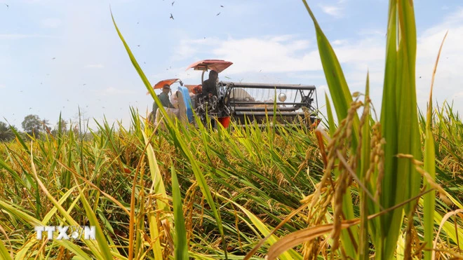 Tăng cường cơ giới hóa trong nông nghiệp. (Ảnh: Hồng Thái/TTXVN)