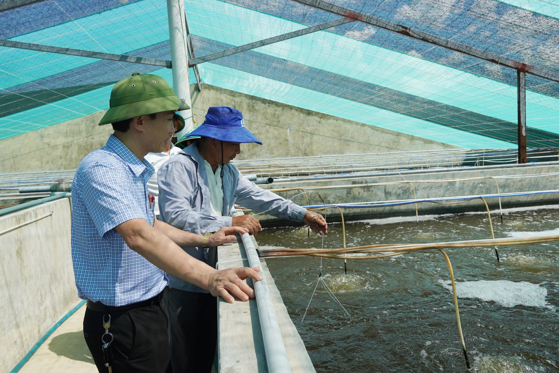 Mô hình nuôi tôm của ông Mai Văn Bình mang lại hiệu quả kinh tế cao - Ảnh: C.N