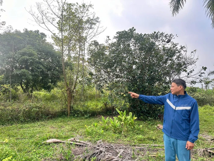 Nâng cao hiệu lực, hiệu quả công tác tiếp công dân và giải quyết khiếu nại, tố cáo, kiến nghị, phản ánh