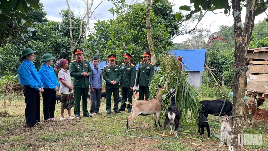 Đoàn Kinh tế-Quốc phòng 337 hỗ trợ dê sinh sản, hướng dẫn kỹ thuật chăn nuôi cho gia đình bà Hồ Thị Bay (xã Hướng Phùng, tỉnh Quảng Trị).