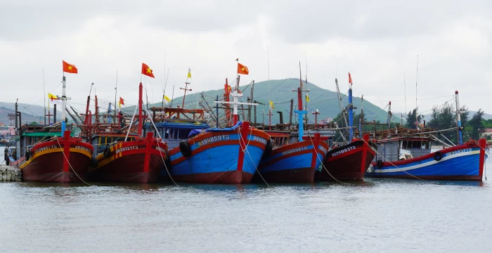 Chuyển đổi 771 tàu thác hải sản ảnh hưởng đến nguồn lợi và môi trường