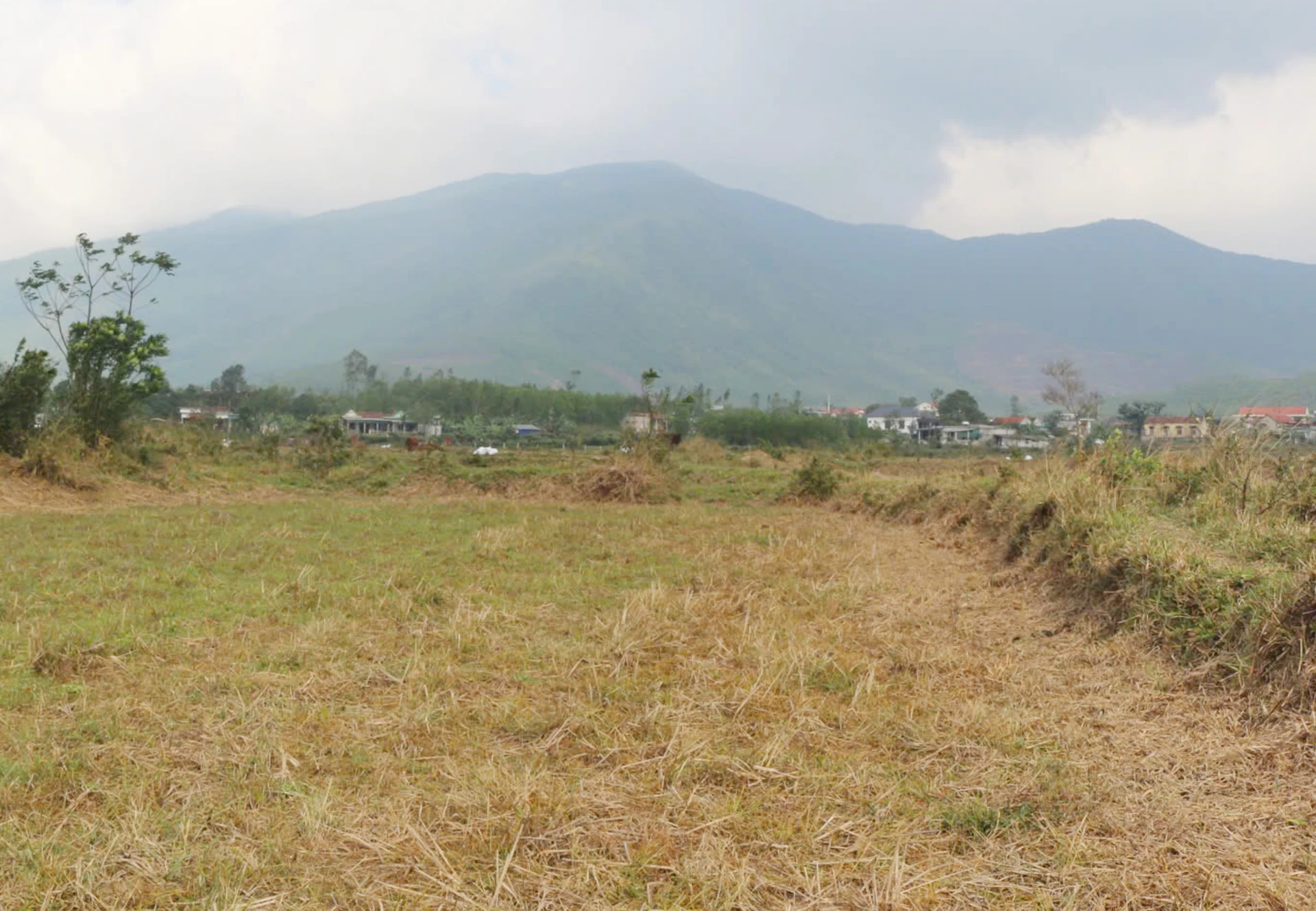 Nhiều thửa ruộng tại thôn Hợp Trung, xã Phú Trạch ghi nhận dấu vết cháy xém, xen lẫn tình trạng đốt thực bì. Ảnh: B.T