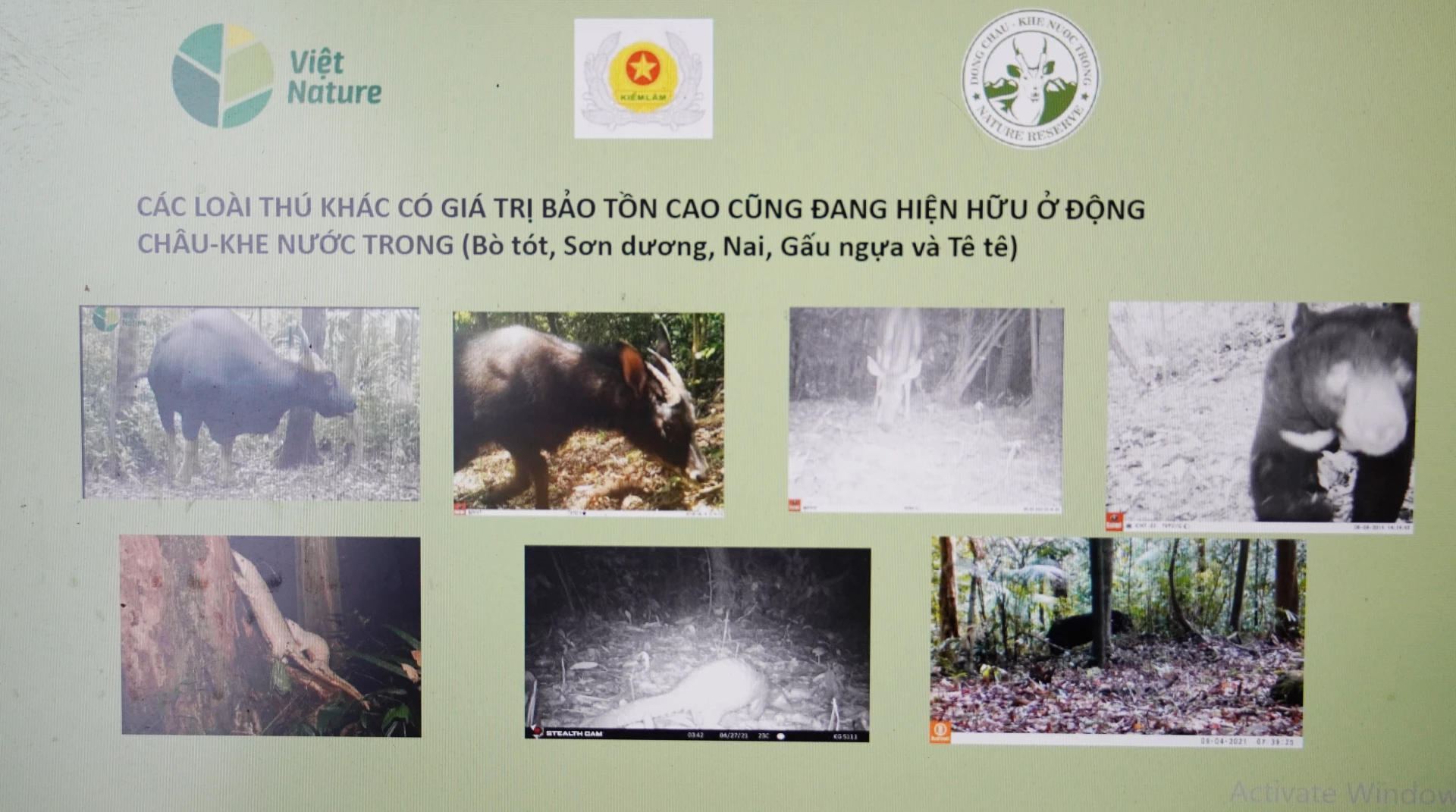 Nhiều loài thú có giá trị bảo tồn cao cũng được ghi nhận đang hiện hữu tại đây - Ảnh: C.H