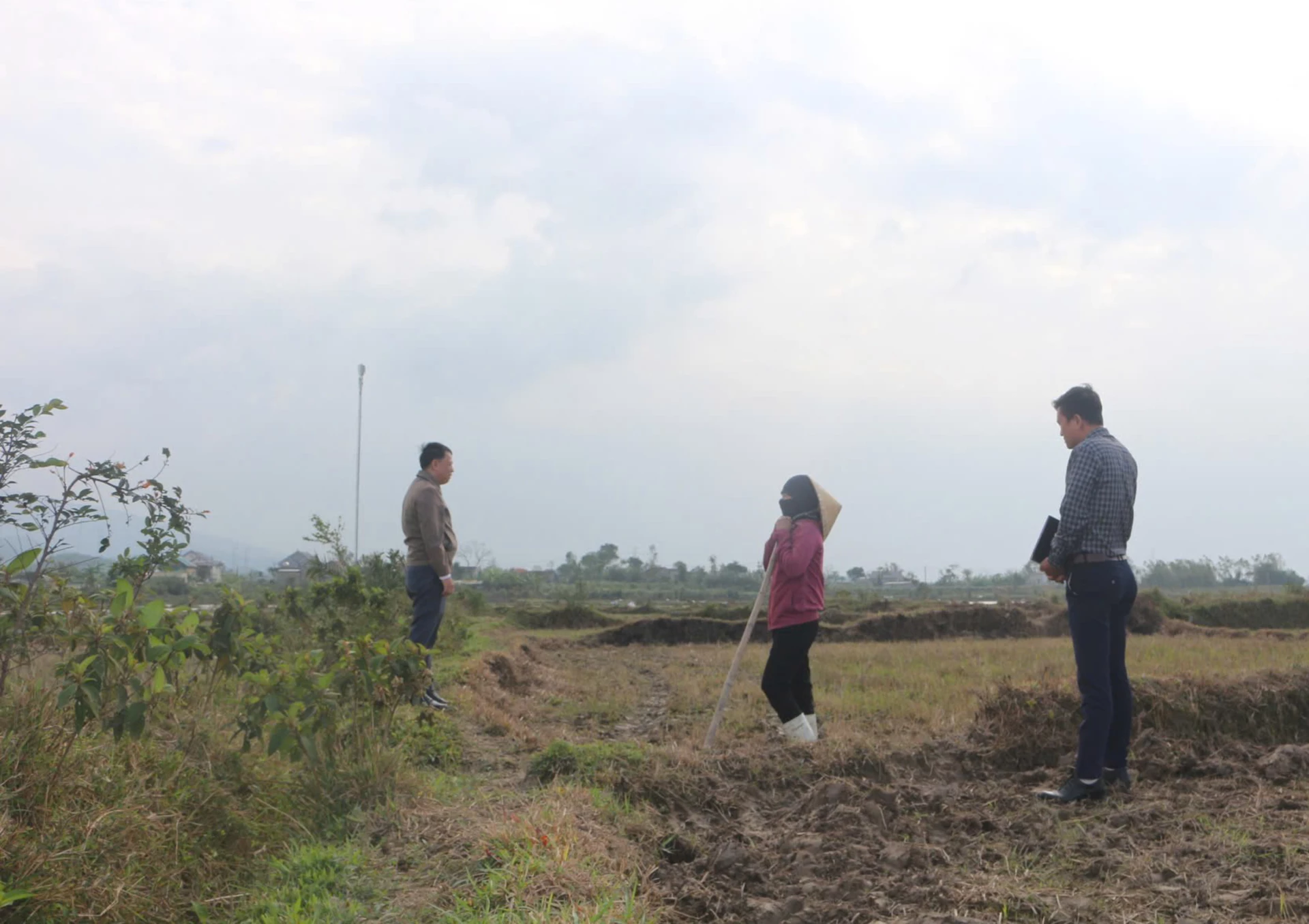 Chi cục Trồng trọt và Bảo vệ Thực vật tỉnh và Phòng Kinh tế xã Phú Trạch kiểm tra hiện trường khu vực cánh đồng thôn Hợp Trung. Ảnh: B.T