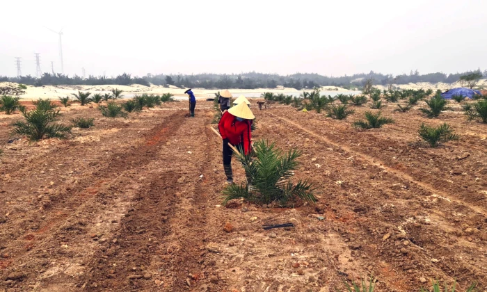Ninh Châu: Thu ngân sách nhà nước đạt trên 215 tỉ đồng