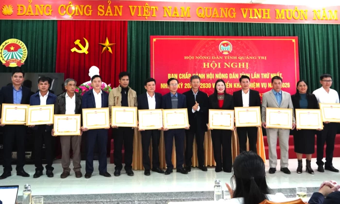 Hỗ trợ hội viên nông dân tham gia phát triển kinh tế tập thể