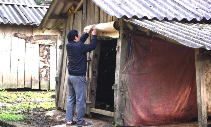 Chủ động các biện pháp bảo vệ đàn gia súc trong rét đậm