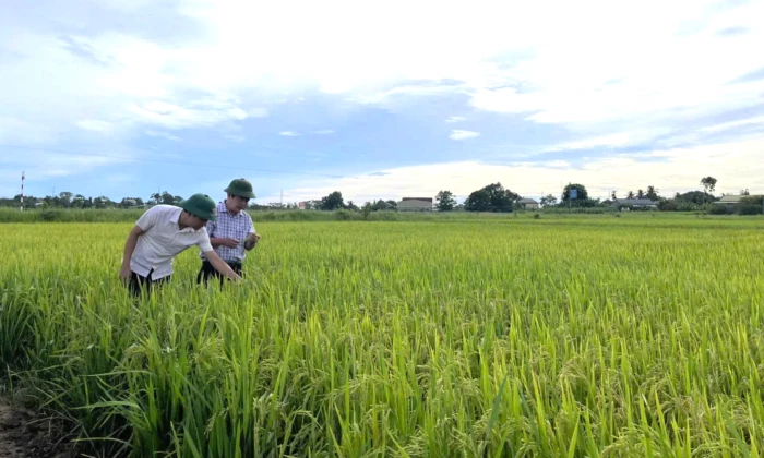 Tập trung phát triển kinh tế với nhiều giải pháp đồng bộ, hiệu quả