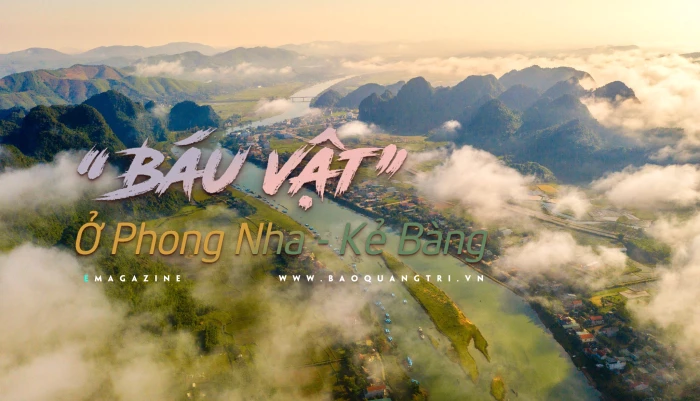 'Báu vật' ở Phong Nha-Kẻ Bàng