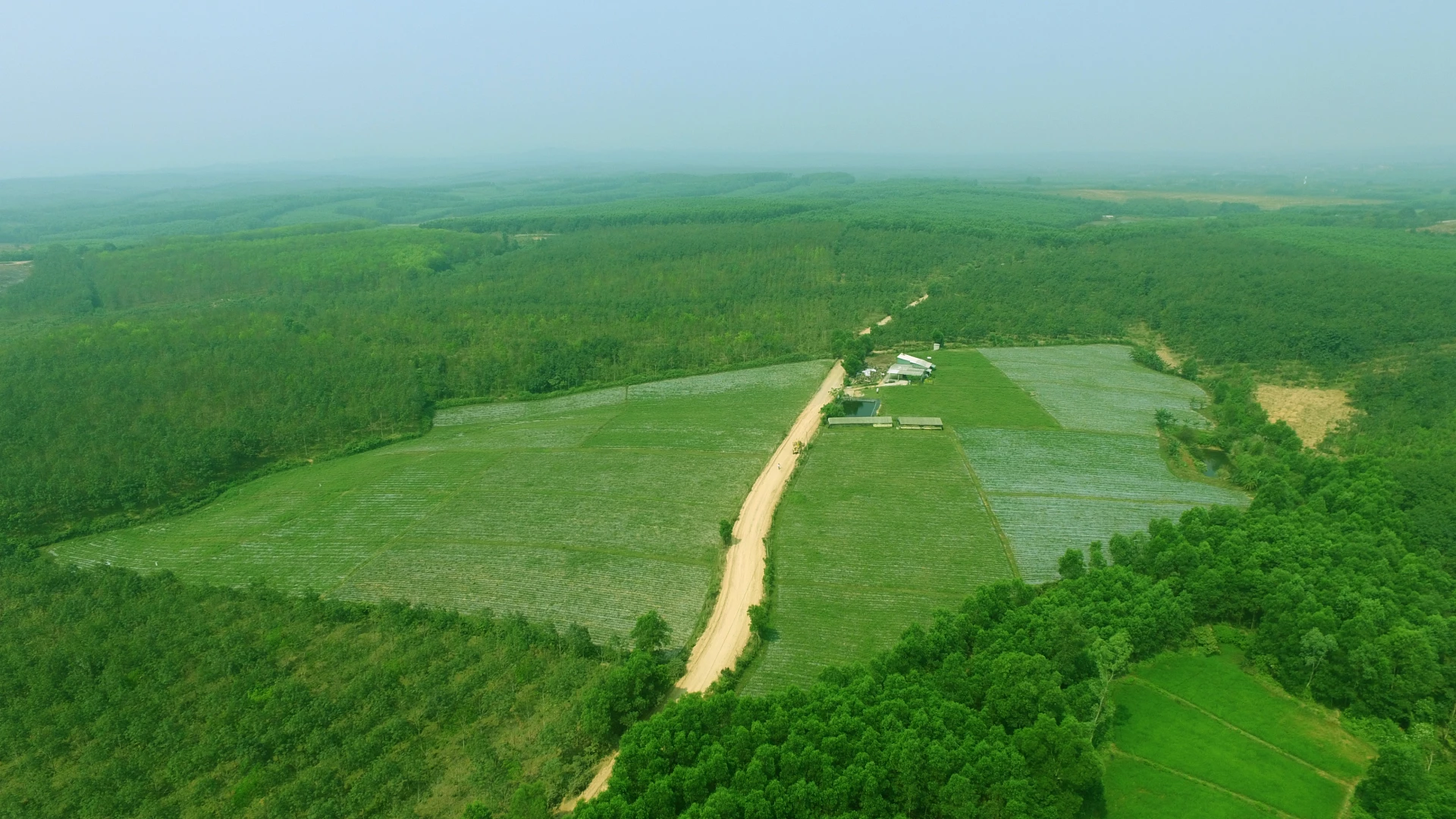 Vườn dược liệu hữu cơ và mô hình liên kết sản xuất theo chuỗi giá trị của Công ty TNHH Dược liệu hữu cơ An Xuân (xã Cam Lộ)- Ảnh: H.C